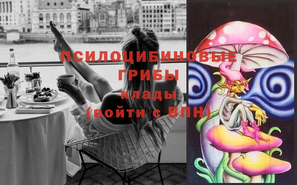 МДПВ Саяногорск