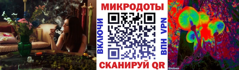Купить закладки  Новошахтинск  Псилоцибиновые грибы Psilocybine cubensis 